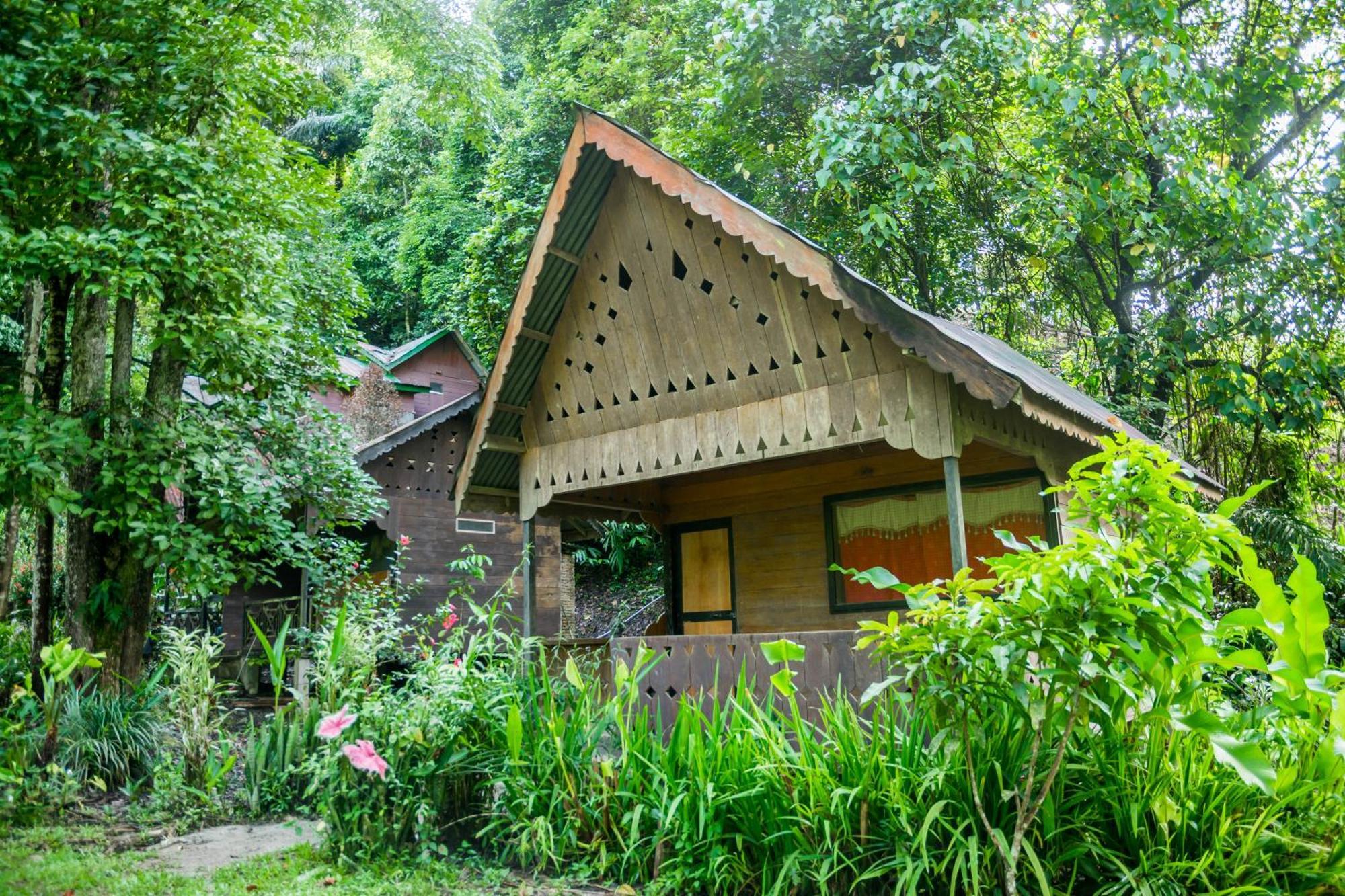 Pak Mus Guest House Ketambe - 0813-7072-1793 Kutacane Kültér fotó