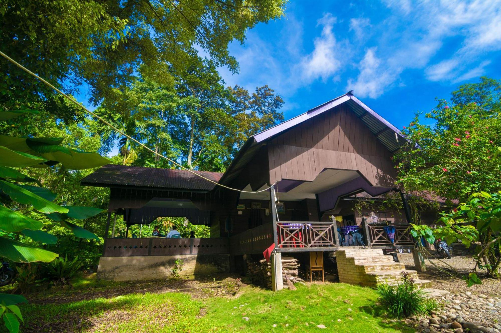 Pak Mus Guest House Ketambe - 0813-7072-1793 Kutacane Kültér fotó