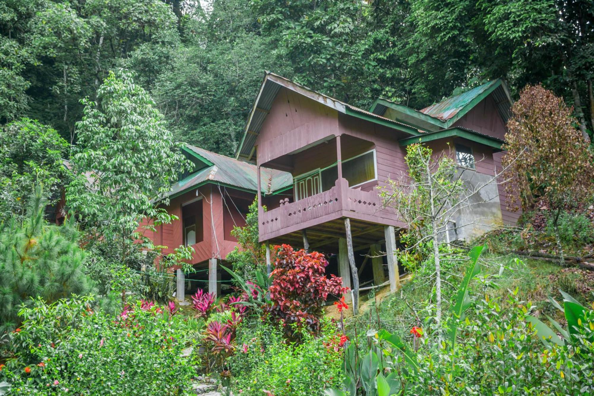 Pak Mus Guest House Ketambe - 0813-7072-1793 Kutacane Kültér fotó