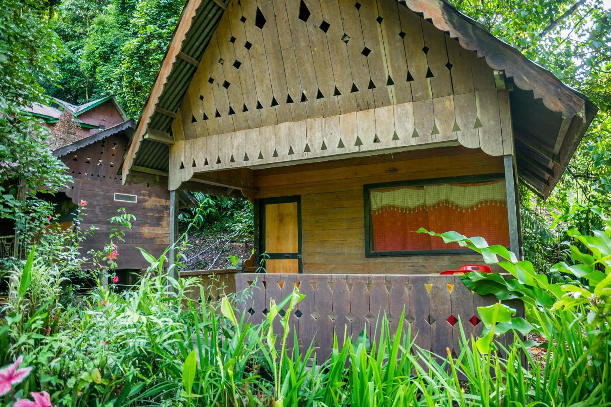 Pak Mus Guest House Ketambe - 0813-7072-1793 Kutacane Kültér fotó